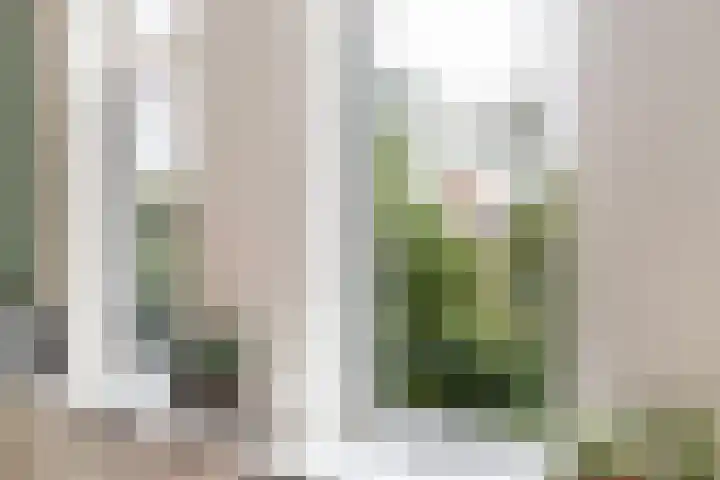 Cornelis Trompstraat 24 Rotterdam thumbnail 10