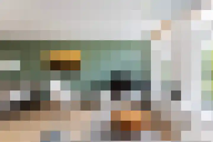 Cornelis Trompstraat 24 Rotterdam thumbnail 12