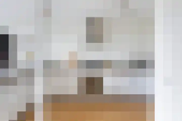 Cornelis Trompstraat 24 Rotterdam thumbnail 14