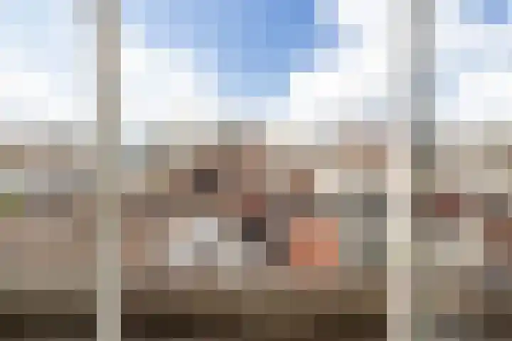 Cornelis Trompstraat 24 Rotterdam thumbnail 24