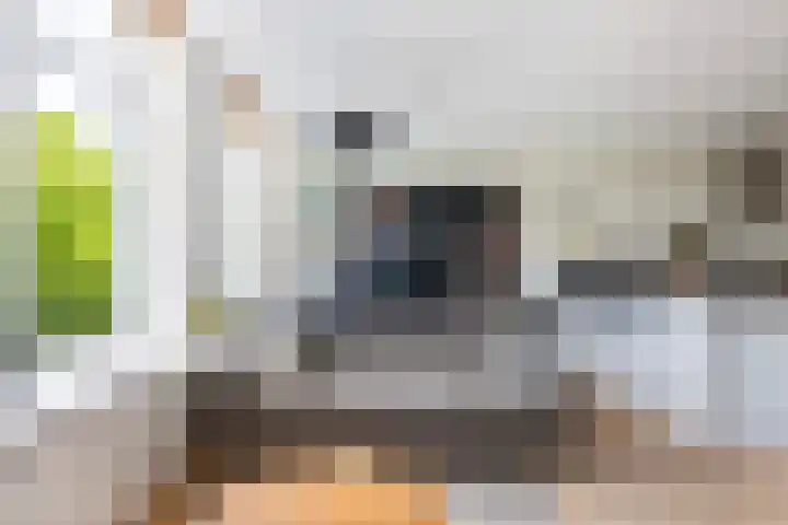 Cornelis Trompstraat 24 Rotterdam thumbnail 9