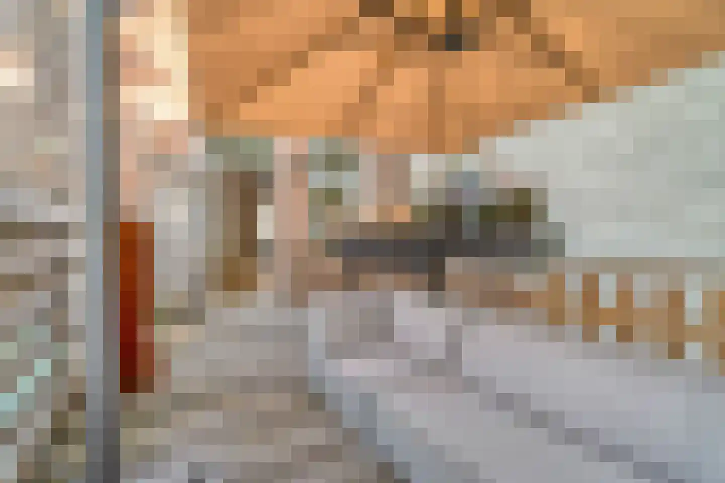 Cornelis Trompstraat 30 Delft thumbnail 15