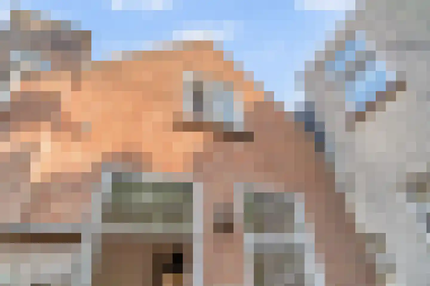 Cornelis Trompstraat 30 Delft thumbnail 18