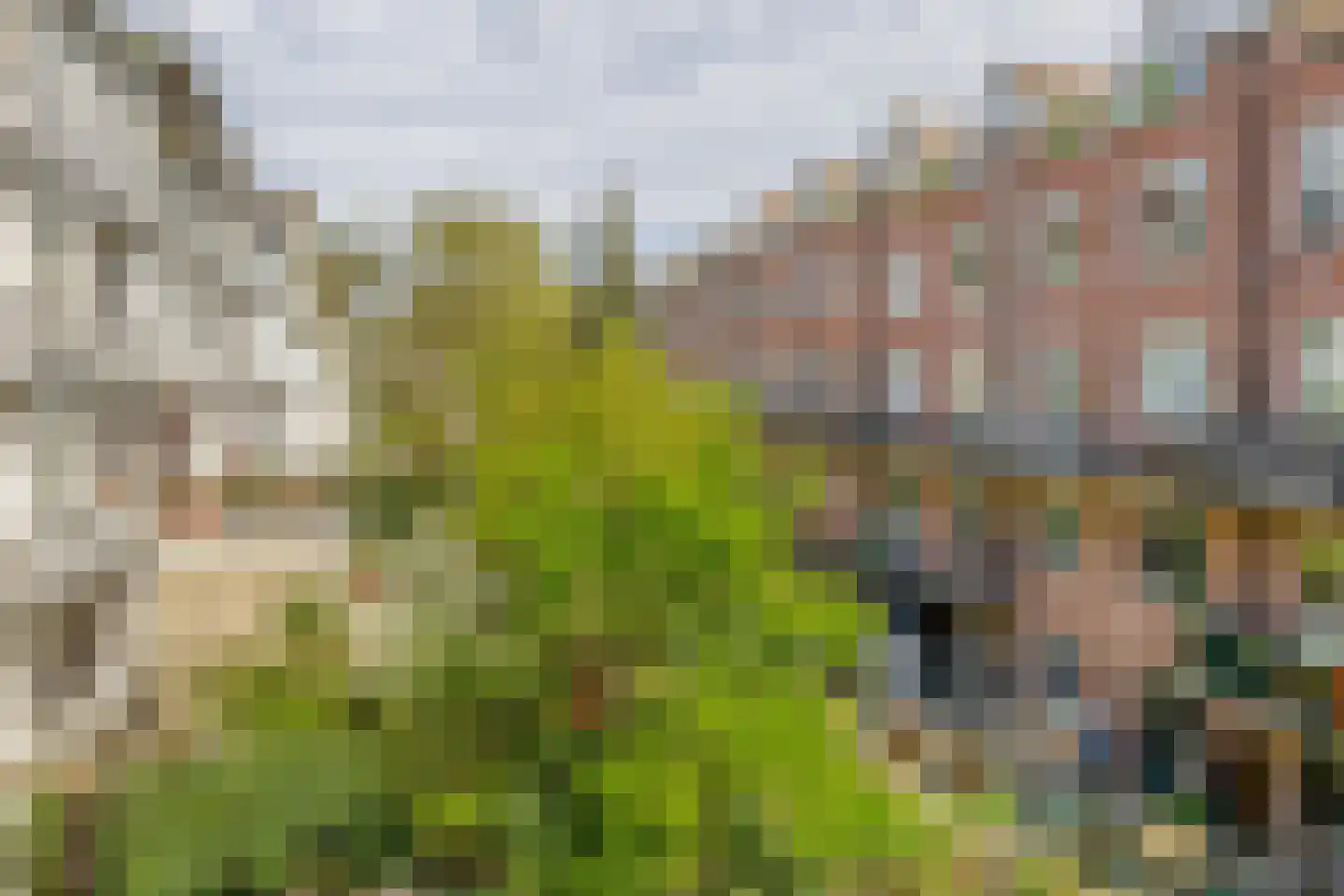 Cornelis Trompstraat 6 B 02 Rotterdam thumbnail 14