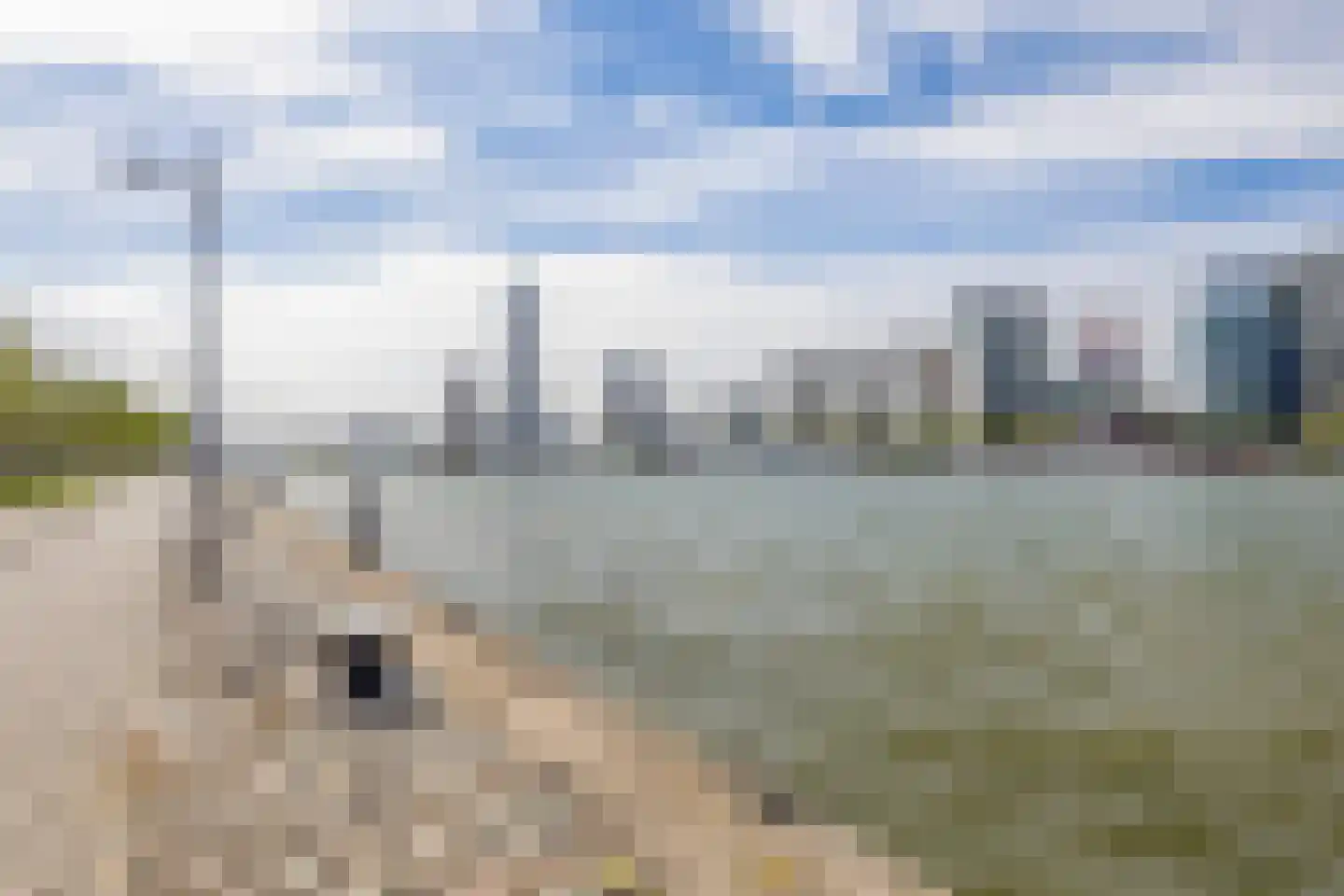Cornelis Trompstraat 6 B 02 Rotterdam thumbnail 24