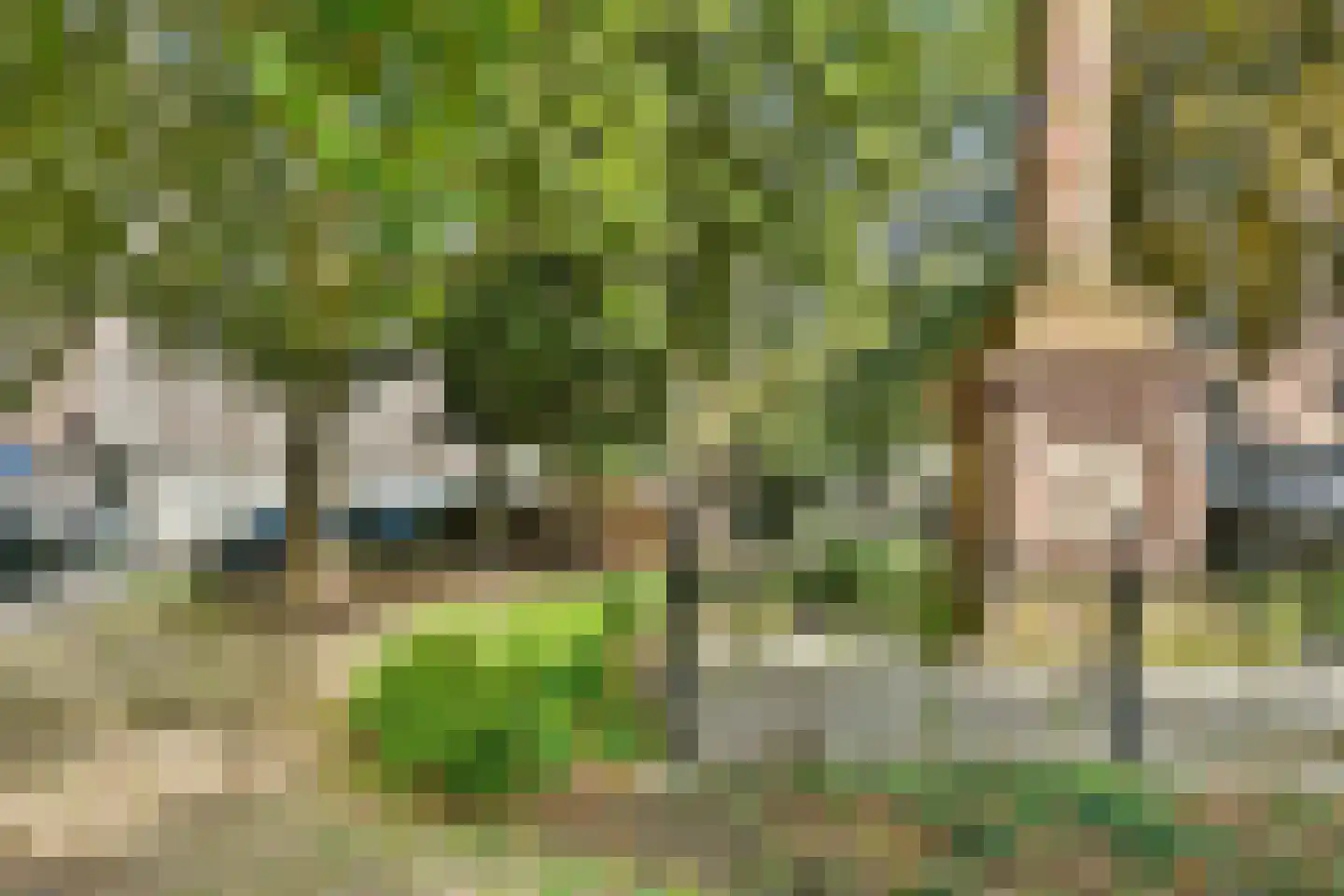Cornelis Trompstraat 6 B 02 Rotterdam thumbnail 35