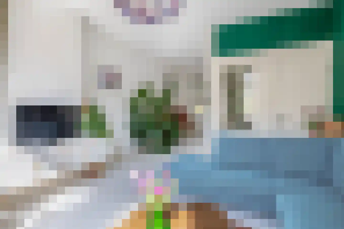 Cornelis Trompstraat 6 B 02 Rotterdam thumbnail 8