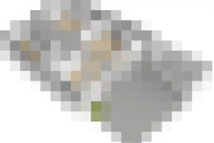 Cornelis Trompstraat 69 Delft thumbnail 46