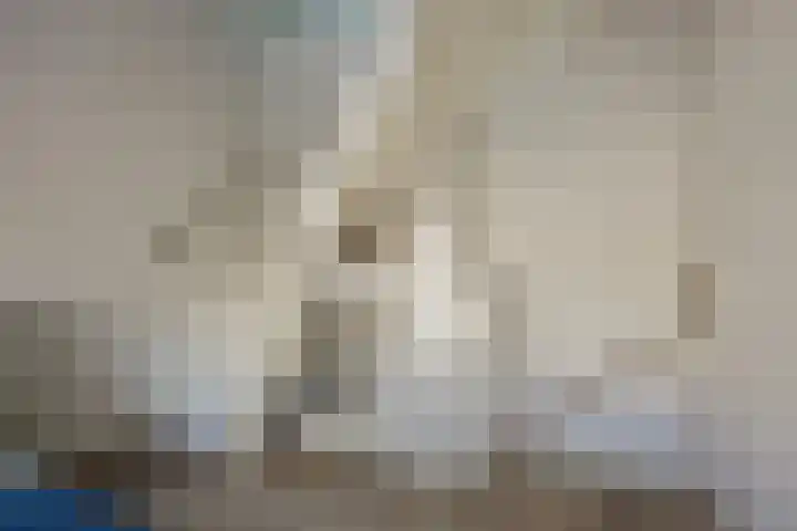 Cornelis Trompstraat 74 Delft thumbnail 39