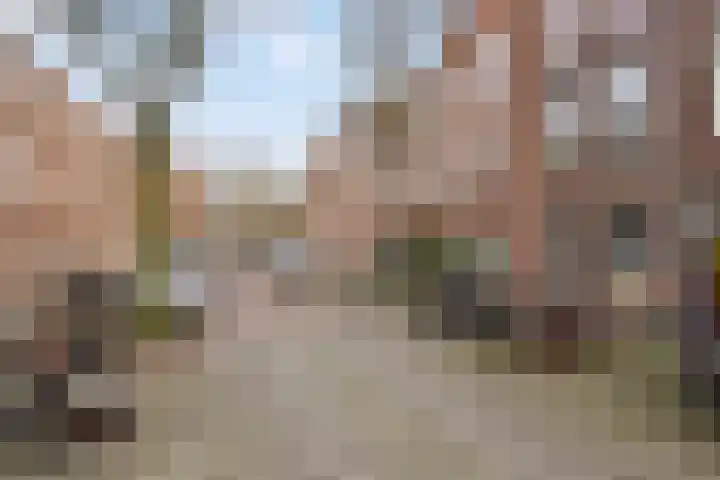 Cornelis Trompstraat 74 Delft thumbnail 8