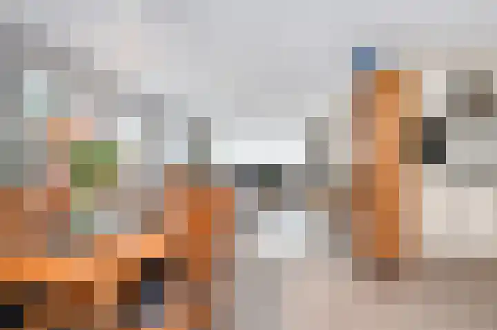 Cornelis Trompstraat 9 Schijndel thumbnail 12