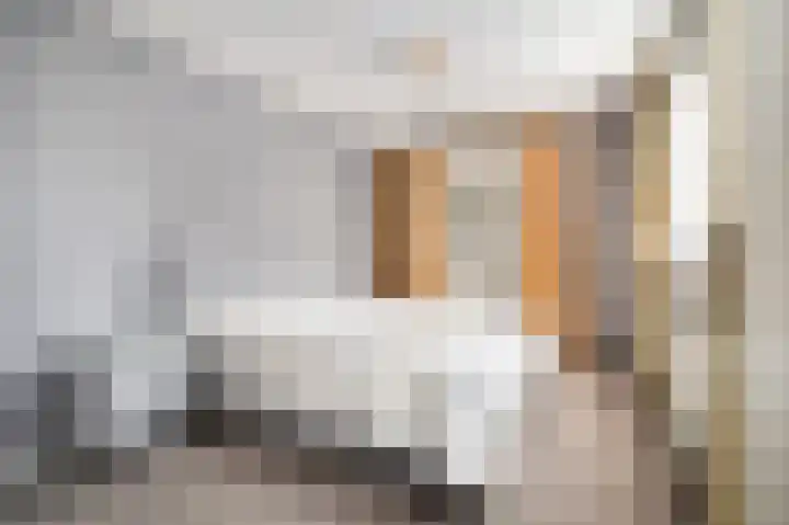 Cornelis Trompstraat 9 Schijndel thumbnail 14
