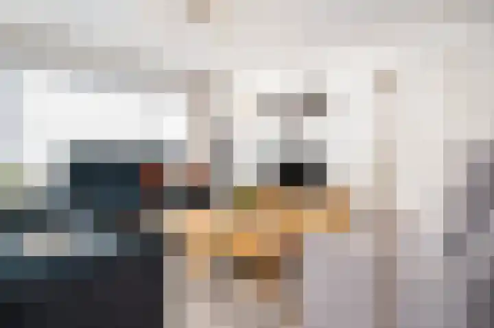 Cornelis Trompstraat 9 Schijndel thumbnail 6