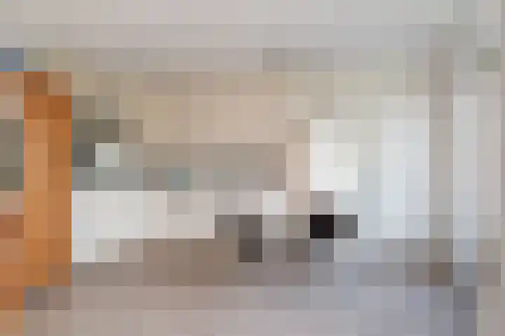 Cornelis Trompstraat 9 Schijndel thumbnail 8