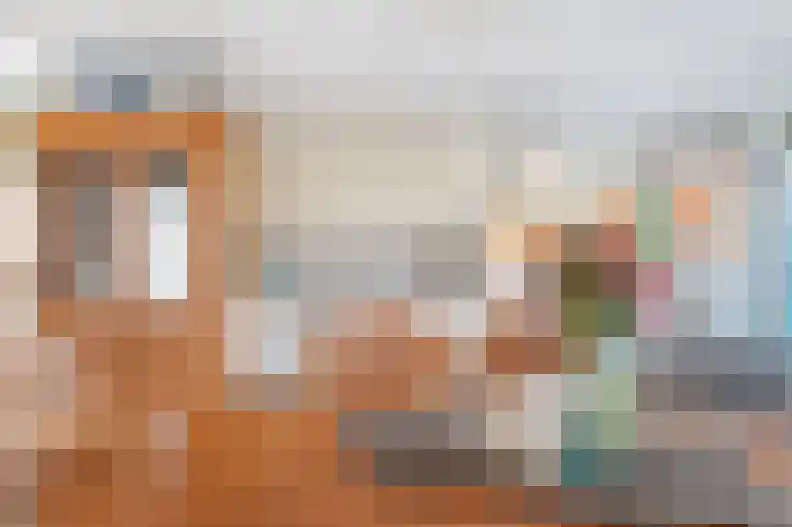 Cornelis Trompstraat 9 Schijndel thumbnail 9