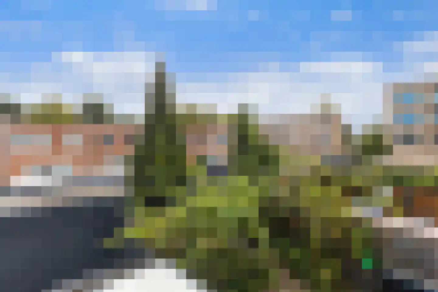 Cornelis Trompweg 92 Dordrecht thumbnail 36