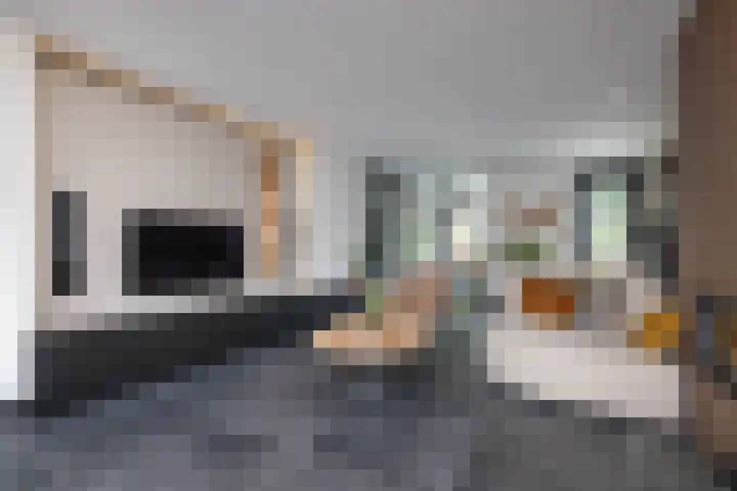 Cornelis Troostlaan 13 Enschede thumbnail 12