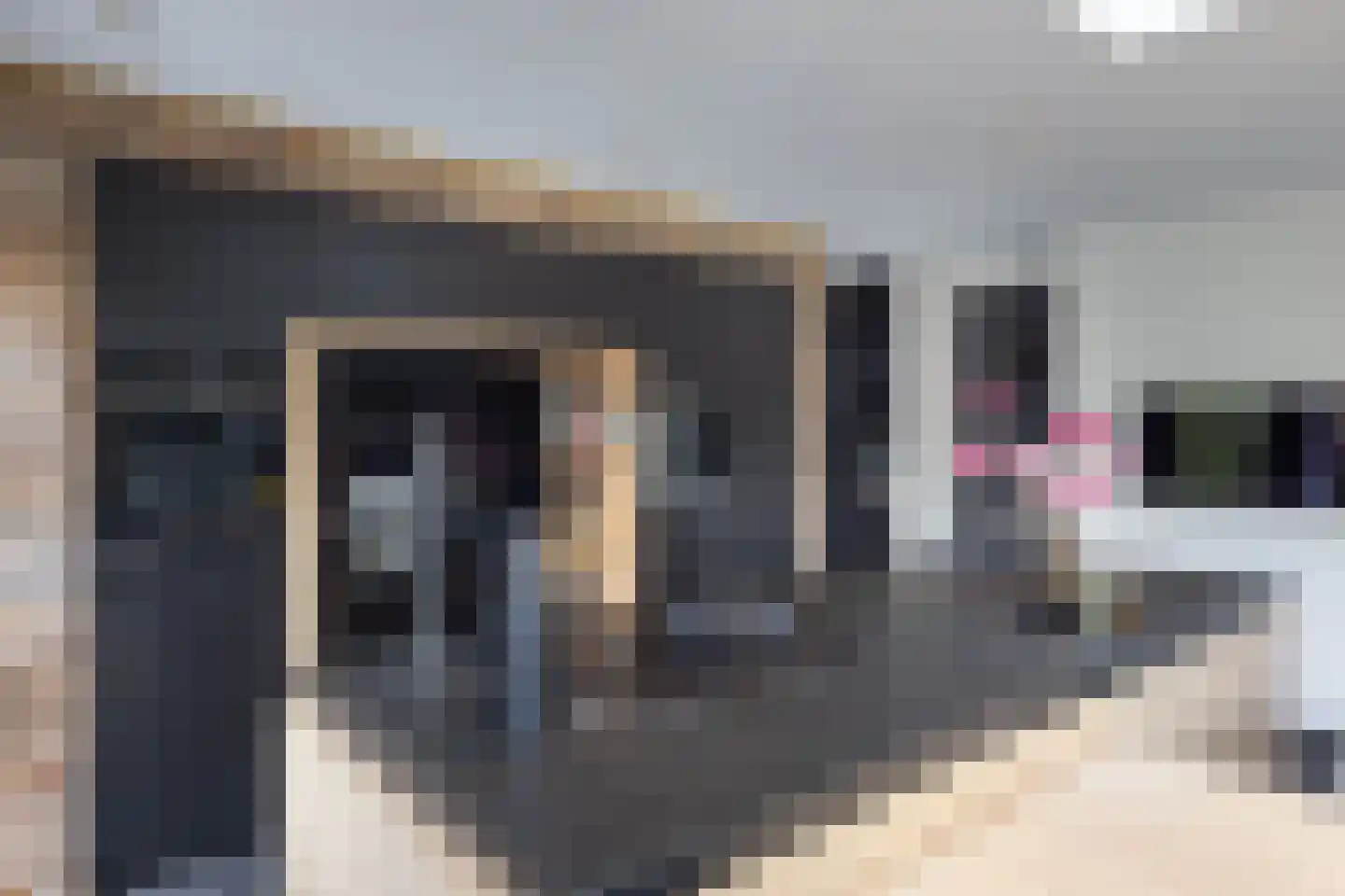 Cornelis Troostlaan 13 Enschede thumbnail 18