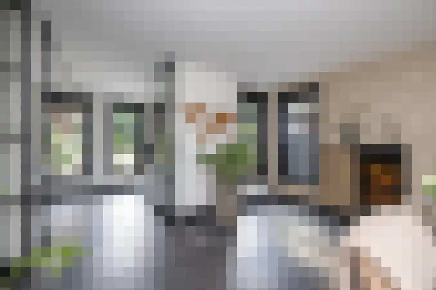 Cornelis Troostlaan 13 Enschede thumbnail 39