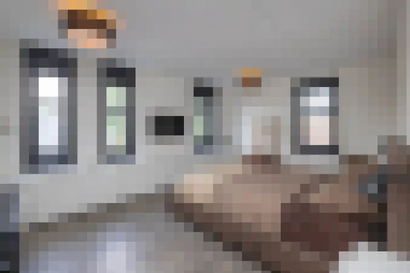 Cornelis Troostlaan 13 Enschede thumbnail 43
