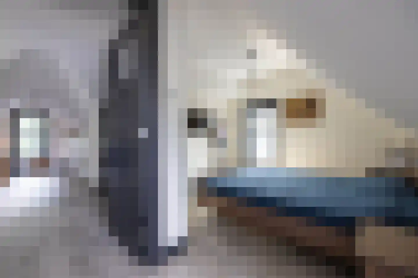 Cornelis Troostlaan 13 Enschede thumbnail 52