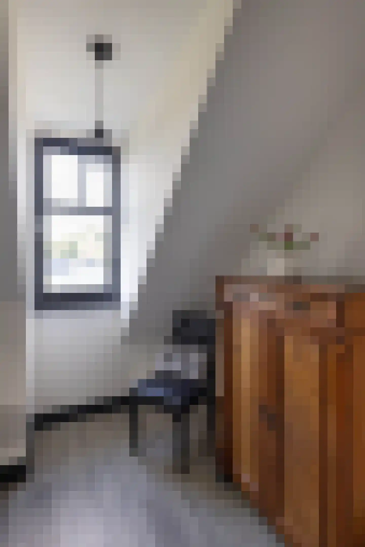 Cornelis Troostlaan 13 Enschede thumbnail 56