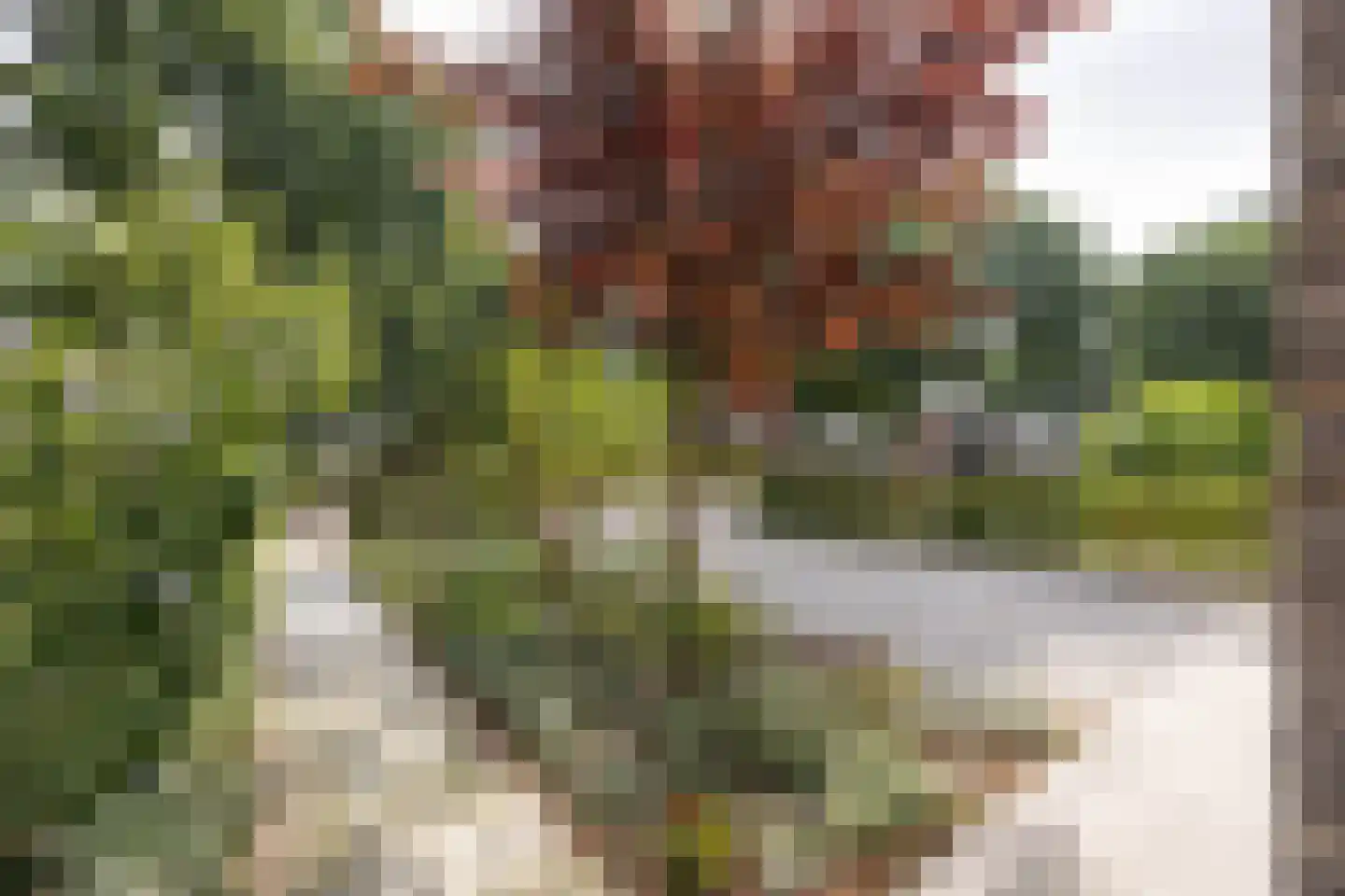 Cornelis Troostlaan 13 Enschede thumbnail 6