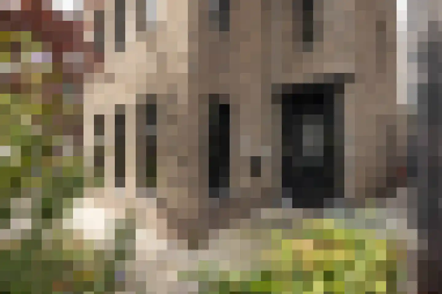 Cornelis Troostlaan 13 Enschede thumbnail 8