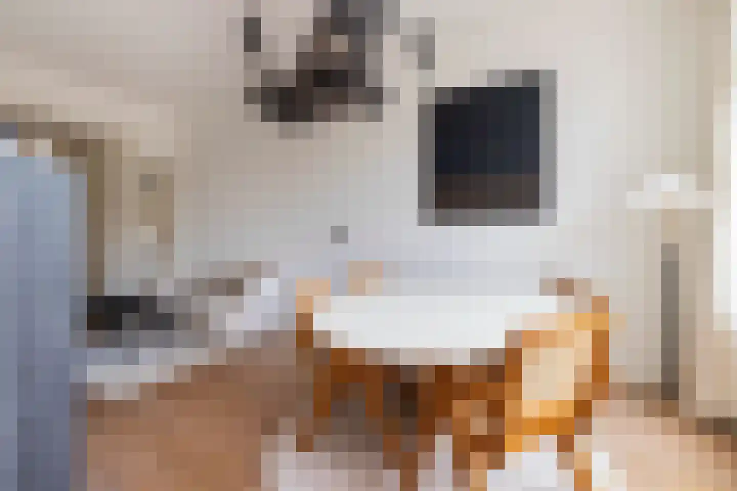 Cornelis Troostplein 3 C Amsterdam thumbnail 11