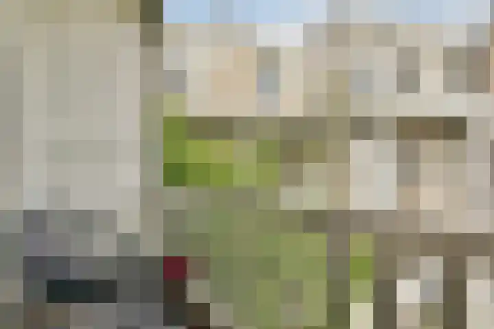Cornelis Troostplein 3 D Amsterdam thumbnail 11