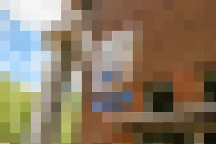 Cornelis Troostplein 3 D Amsterdam thumbnail 16