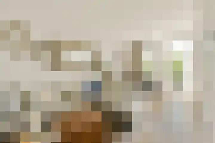 Cornelis Troostplein 3 D Amsterdam thumbnail 21