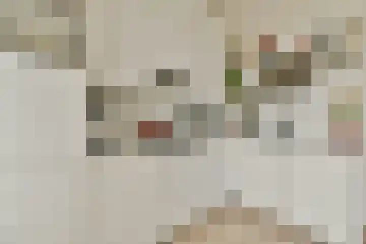 Cornelis Troostplein 3 D Amsterdam thumbnail 6