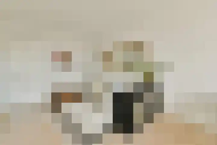 Cornelis Troostplein 3 D Amsterdam thumbnail 7
