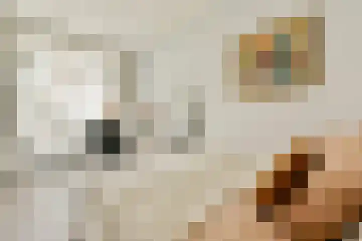 Cornelis Troostplein 3 D Amsterdam thumbnail 8