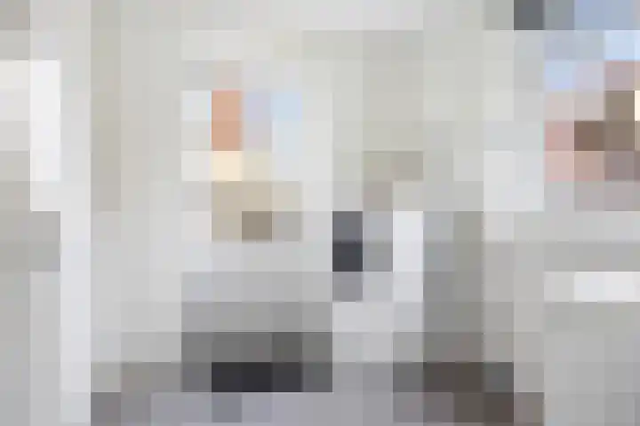 Cornelis Trooststraat 1 a Leeuwarden thumbnail 18