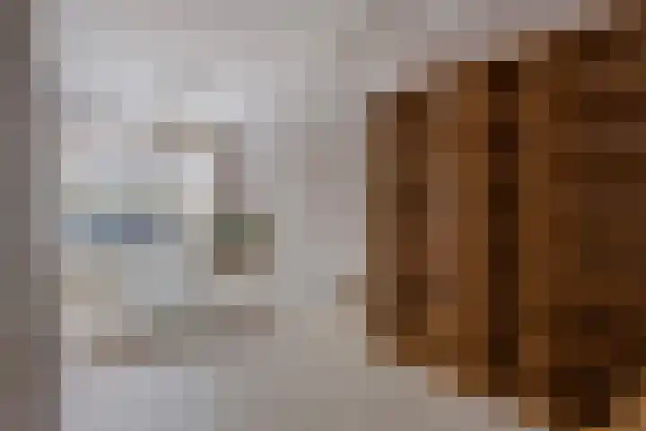 Cornelis Trooststraat 13 Eindhoven thumbnail 10