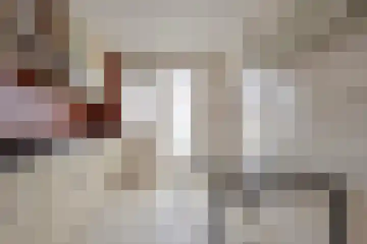 Cornelis Trooststraat 13 Eindhoven thumbnail 12