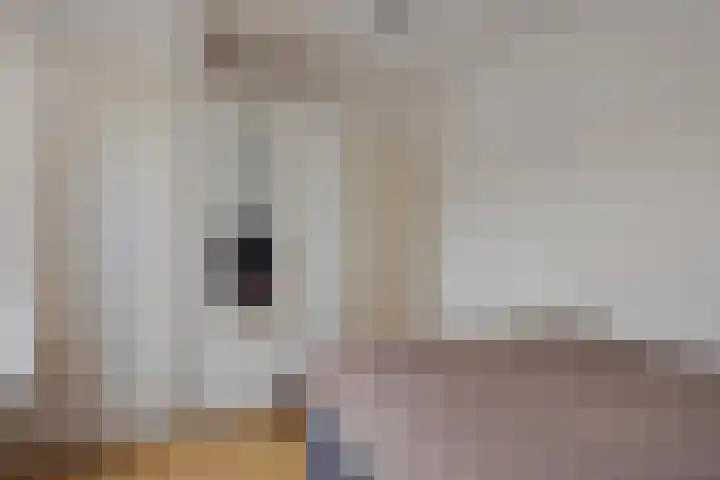 Cornelis Trooststraat 13 Eindhoven thumbnail 20