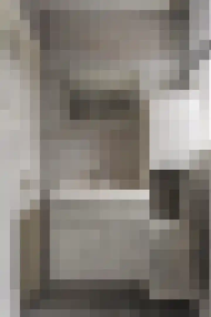 Cornelis Trooststraat 13 Eindhoven thumbnail 23
