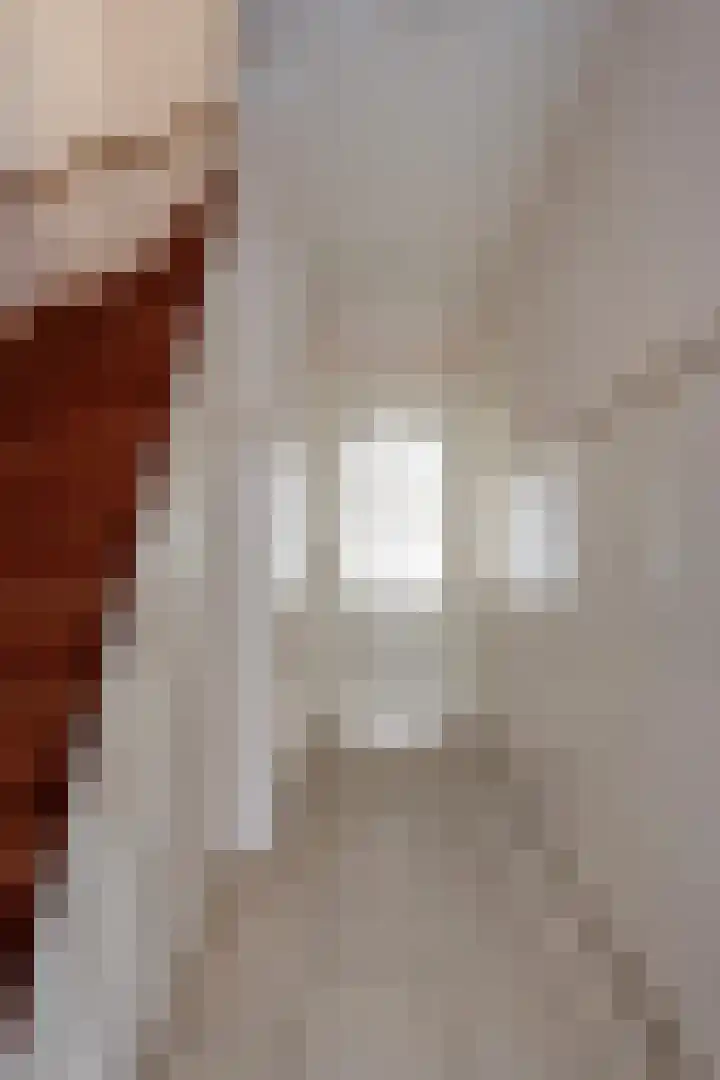 Cornelis Trooststraat 13 Eindhoven thumbnail 4