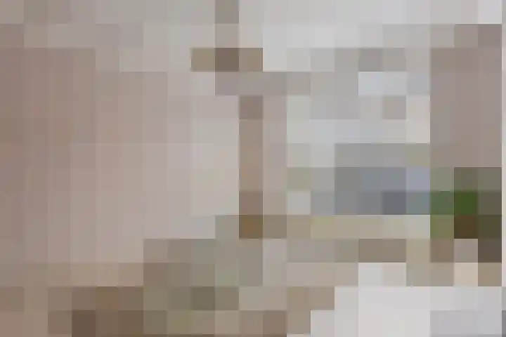 Cornelis Trooststraat 13 Eindhoven thumbnail 6