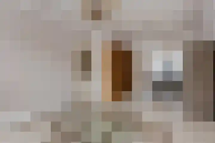 Cornelis Trooststraat 13 Eindhoven thumbnail 7