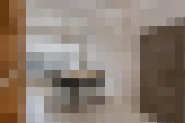 Cornelis Trooststraat 13 Eindhoven thumbnail 9