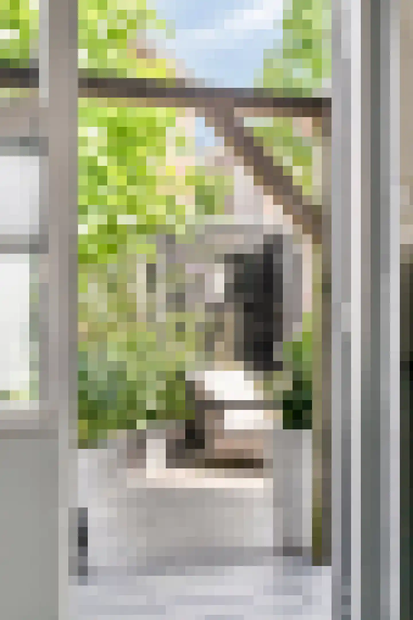 Cornelis Trooststraat 15 Eindhoven thumbnail 10