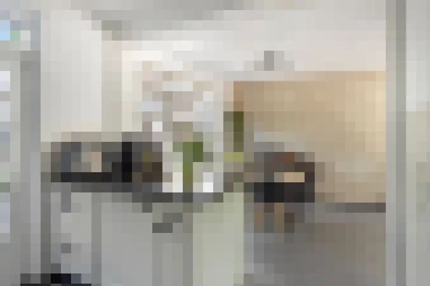 Cornelis Trooststraat 15 Eindhoven thumbnail 13