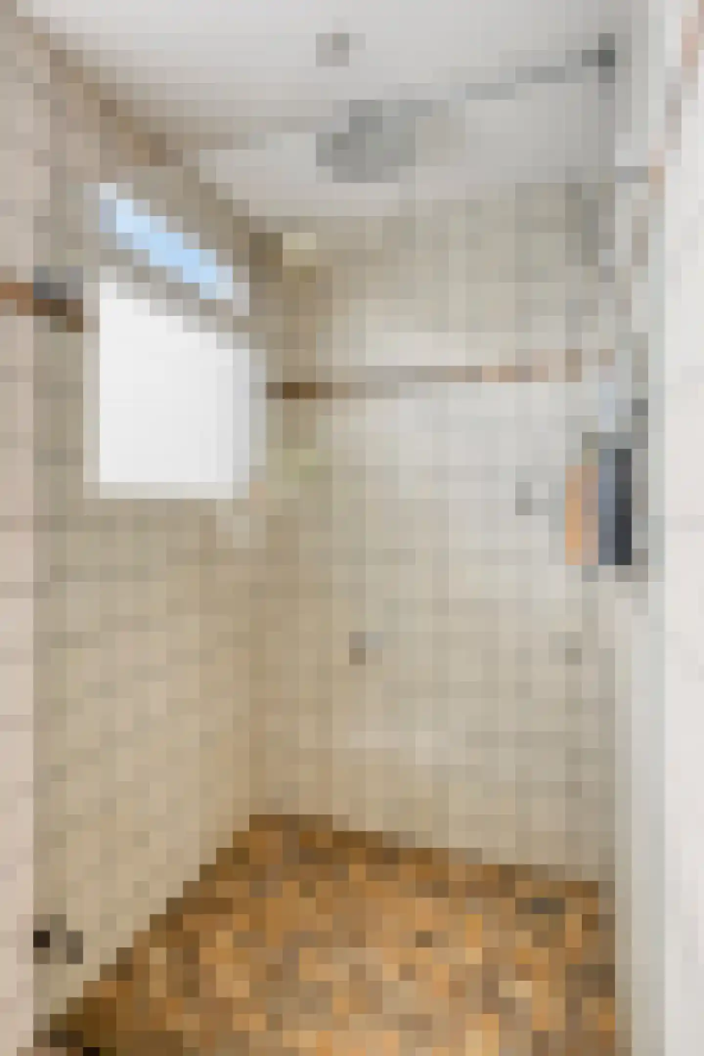 Cornelis Trooststraat 15 Eindhoven thumbnail 17