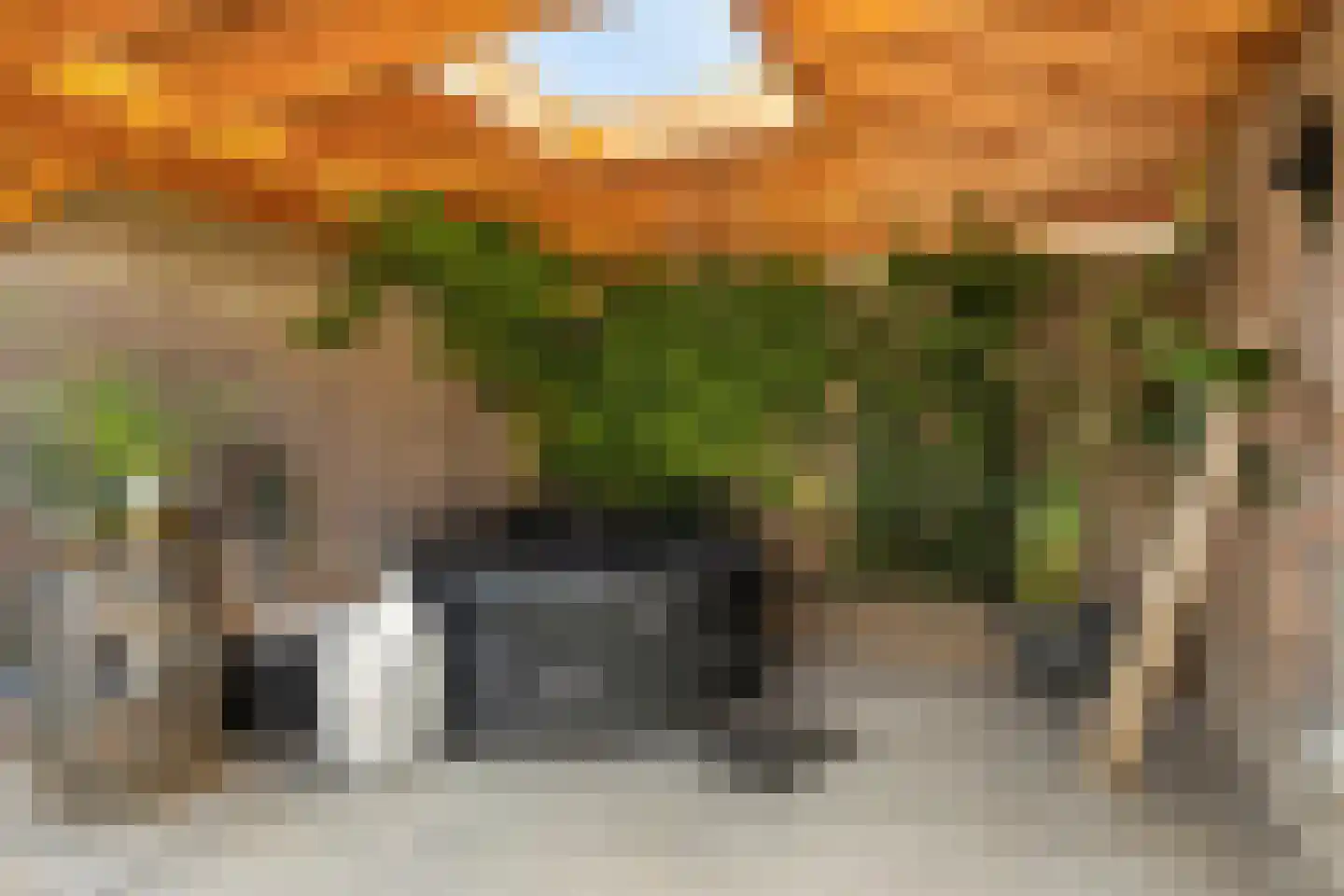 Cornelis Trooststraat 15 Eindhoven thumbnail 4