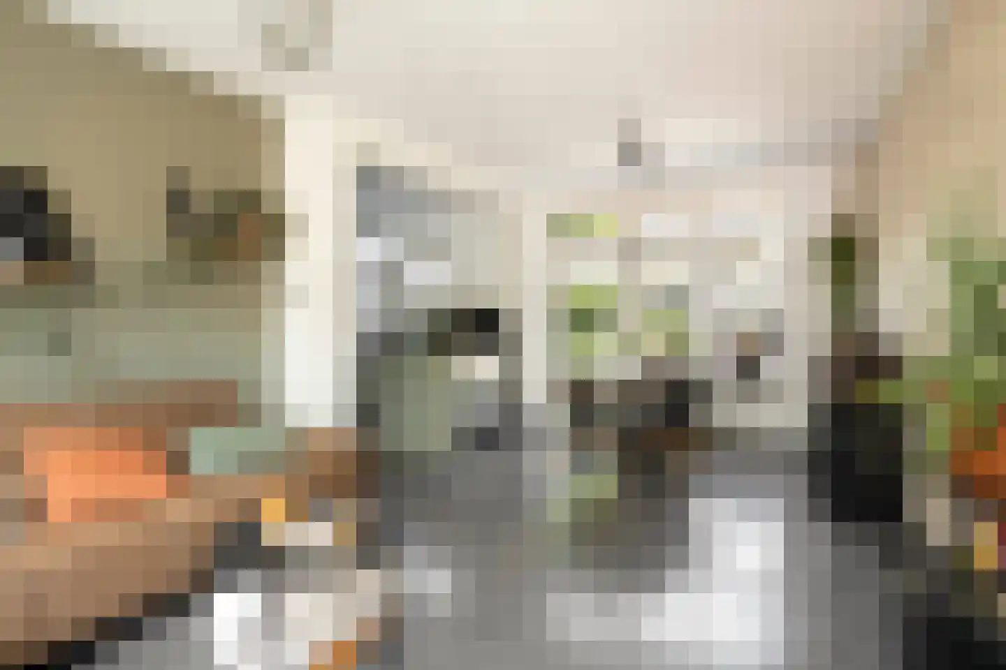 Cornelis Trooststraat 15 Eindhoven thumbnail 9