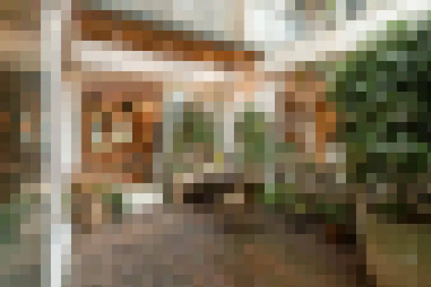 Cornelis Trooststraat 37 3 Amsterdam thumbnail 12